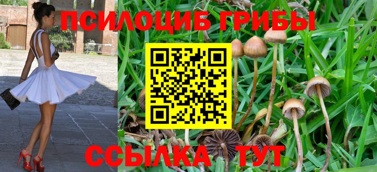 Галлюциногенные грибы прущие грибы Можга