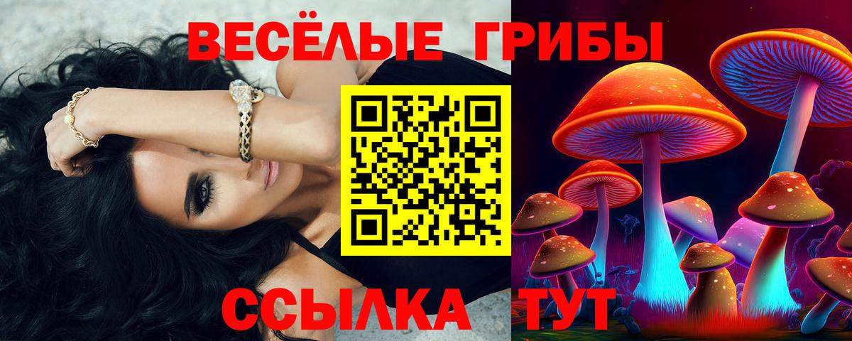 Можга  Псилоцибиновые грибы MAGIC MUSHROOMS  Вход с VPN 
